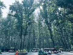 -北京野生动物园