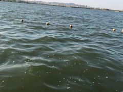 -南湖国家城市湿地公园