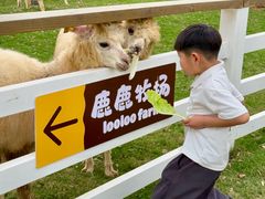 -盈香心动乐园