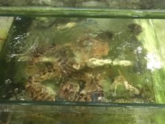 -阿弟特色海鲜餐厅·大排档(平潭店)