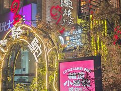 -福苗小骆驼烧烤(莲湖路店)