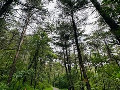 -帽儿山国家森林公园