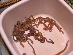 -兴仙饭店·闽味海鲜(马尾总店)