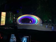 -枫花园汽车电影院(朝阳公园店)