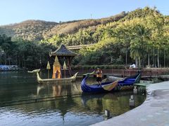 -西双版纳原始森林公园
