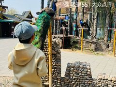 -呀路古热带植物园