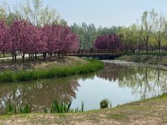 -东郊湿地公园