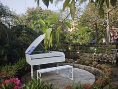 -花溪雨·森林餐厅(石基店)