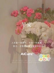 -AiCure 埃可儿·韩国医学皮肤管理
