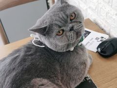 -平行世界·猫咖(首经贸店)
