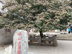 -青岛崂山太清宫