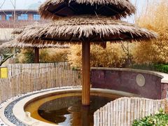 -大连金石滩绿发温泉假日酒店