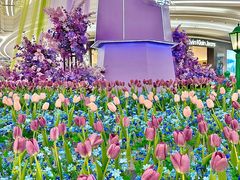 -KK ONE(京基滨河时代店)