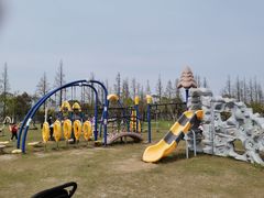 -上海长兴岛郊野公园