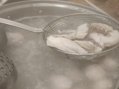 -正能量脆肉鲩火锅