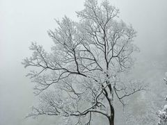 -东天目山风景区