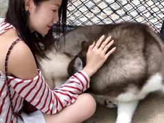 -TrueLove @ Neverland (Husky Cafe)