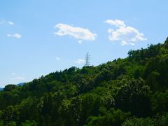 -白水寺森林公园