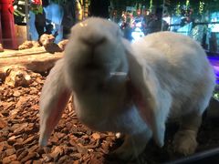-昆明大悦城未来动物城(螺蛳湾中心店)