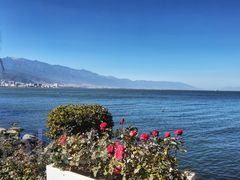 -大理洱海