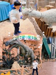 点击看大图 -宝燕乐园(闵行旗舰店)