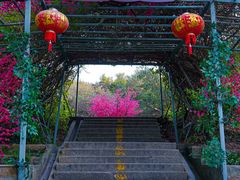 -巽寮湾