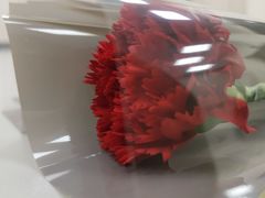 -梧桐花语舞蹈培训中心(潞城校区)