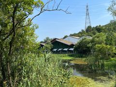 -西湖风景区-江洋畈生态公园