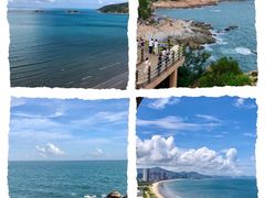 -广东惠东海龟国家级自然保护区