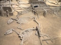 -洛阳周王城天子驾六博物馆