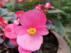 -驿舍·民國老营房院子私房菜(科学会堂店)