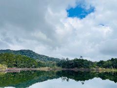 -海南热带雨林国家公园吊罗山景区
