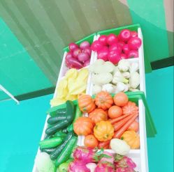 -莫莉幻想儿童乐园(深圳东湖永旺店)
