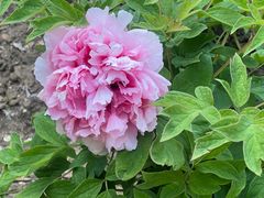 -江南大学(蠡湖校区)