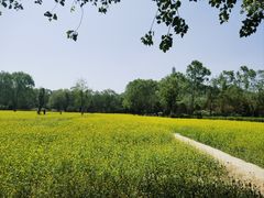 -北坞公园