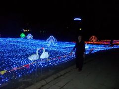 -重庆海昌加勒比海水世界