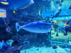 -海合安成都极地海洋公园