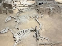 -洛阳周王城天子驾六博物馆