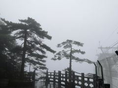 -黄山玉屏楼宾馆餐厅