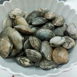 麻辣鲜香炒花蛤，美味下酒菜必备款！