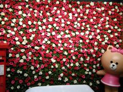 -雕刻时光咖啡馆(北苑店)