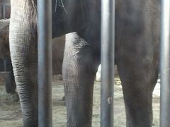 -石家庄市动物园