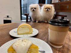 -猫里有甜