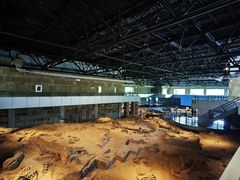 -自贡恐龙博物馆