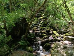 -神农架景区