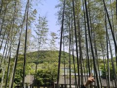 -南北湖风景区