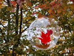 -福州大学(旗山校区)