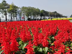 -海心沙亚运公园