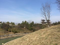 -合肥三国新城遗址公园