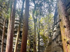 -梭布垭石林景区